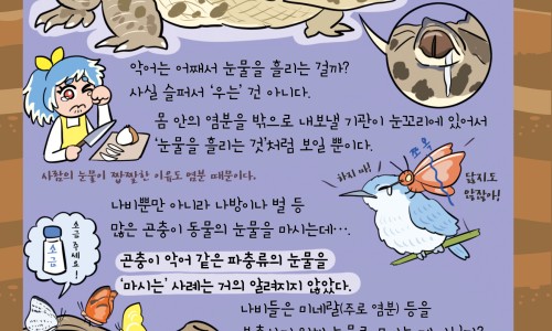 【中药学知识点电子版】中药学知识点背诵 - 中药学知识点网